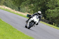 Lower Group White Bikes