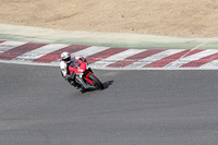 brands-hatch-photographs;brands-no-limits-trackday;cadwell-trackday-photographs;enduro-digital-images;event-digital-images;eventdigitalimages;no-limits-trackdays;peter-wileman-photography;racing-digital-images;trackday-digital-images;trackday-photos