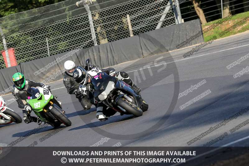 brands hatch photographs;brands no limits trackday;cadwell trackday photographs;enduro digital images;event digital images;eventdigitalimages;no limits trackdays;peter wileman photography;racing digital images;trackday digital images;trackday photos