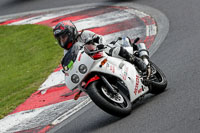 Lower Group White Bikes