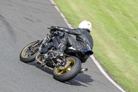 Middle Group Black Bikes