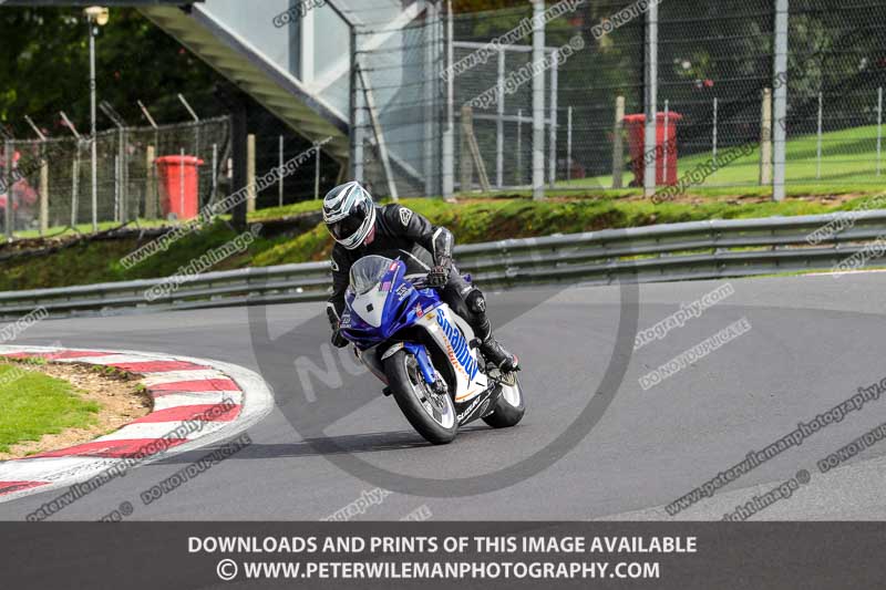 brands hatch photographs;brands no limits trackday;cadwell trackday photographs;enduro digital images;event digital images;eventdigitalimages;no limits trackdays;peter wileman photography;racing digital images;trackday digital images;trackday photos