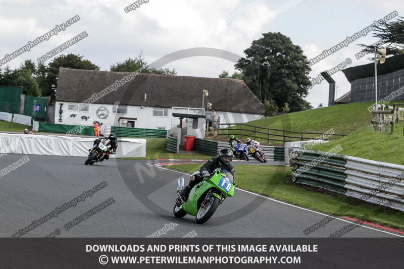 enduro digital images;event digital images;eventdigitalimages;mallory park;mallory park photographs;mallory park trackday;mallory park trackday photographs;no limits trackdays;peter wileman photography;racing digital images;trackday digital images;trackday photos