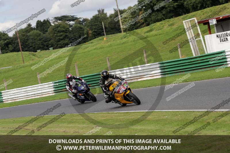 enduro digital images;event digital images;eventdigitalimages;mallory park;mallory park photographs;mallory park trackday;mallory park trackday photographs;no limits trackdays;peter wileman photography;racing digital images;trackday digital images;trackday photos