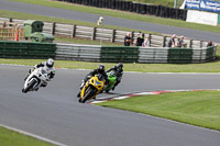 enduro-digital-images;event-digital-images;eventdigitalimages;mallory-park;mallory-park-photographs;mallory-park-trackday;mallory-park-trackday-photographs;no-limits-trackdays;peter-wileman-photography;racing-digital-images;trackday-digital-images;trackday-photos