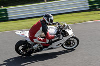 Advanced Group White Bikes