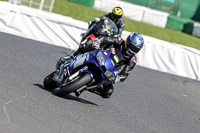 enduro-digital-images;event-digital-images;eventdigitalimages;mallory-park;mallory-park-photographs;mallory-park-trackday;mallory-park-trackday-photographs;no-limits-trackdays;peter-wileman-photography;racing-digital-images;trackday-digital-images;trackday-photos