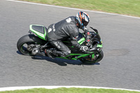 Middle Group Green Bikes