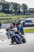 Middle Group Multicolour Bikes