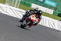enduro-digital-images;event-digital-images;eventdigitalimages;mallory-park;mallory-park-photographs;mallory-park-trackday;mallory-park-trackday-photographs;no-limits-trackdays;peter-wileman-photography;racing-digital-images;trackday-digital-images;trackday-photos