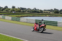Middle Group Red Bikes