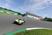 Middle Group Yellow Bikes