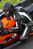 Advanced Group Orange Bikes
