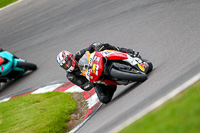anglesey;brands-hatch;cadwell-park;croft;donington-park;enduro-digital-images;event-digital-images;eventdigitalimages;mallory;no-limits;oulton-park;peter-wileman-photography;racing-digital-images;silverstone;snetterton;trackday-digital-images;trackday-photos;vmcc-banbury-run;welsh-2-day-enduro