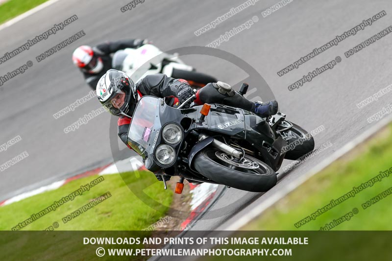 anglesey;brands hatch;cadwell park;croft;donington park;enduro digital images;event digital images;eventdigitalimages;mallory;no limits;oulton park;peter wileman photography;racing digital images;silverstone;snetterton;trackday digital images;trackday photos;vmcc banbury run;welsh 2 day enduro