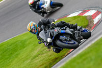 anglesey;brands-hatch;cadwell-park;croft;donington-park;enduro-digital-images;event-digital-images;eventdigitalimages;mallory;no-limits;oulton-park;peter-wileman-photography;racing-digital-images;silverstone;snetterton;trackday-digital-images;trackday-photos;vmcc-banbury-run;welsh-2-day-enduro