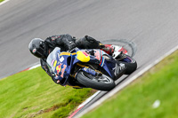 anglesey;brands-hatch;cadwell-park;croft;donington-park;enduro-digital-images;event-digital-images;eventdigitalimages;mallory;no-limits;oulton-park;peter-wileman-photography;racing-digital-images;silverstone;snetterton;trackday-digital-images;trackday-photos;vmcc-banbury-run;welsh-2-day-enduro