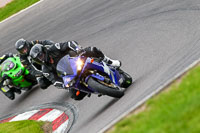 anglesey;brands-hatch;cadwell-park;croft;donington-park;enduro-digital-images;event-digital-images;eventdigitalimages;mallory;no-limits;oulton-park;peter-wileman-photography;racing-digital-images;silverstone;snetterton;trackday-digital-images;trackday-photos;vmcc-banbury-run;welsh-2-day-enduro