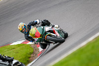anglesey;brands-hatch;cadwell-park;croft;donington-park;enduro-digital-images;event-digital-images;eventdigitalimages;mallory;no-limits;oulton-park;peter-wileman-photography;racing-digital-images;silverstone;snetterton;trackday-digital-images;trackday-photos;vmcc-banbury-run;welsh-2-day-enduro
