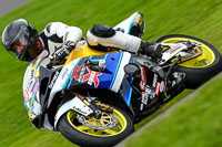 anglesey;brands-hatch;cadwell-park;croft;donington-park;enduro-digital-images;event-digital-images;eventdigitalimages;mallory;no-limits;oulton-park;peter-wileman-photography;racing-digital-images;silverstone;snetterton;trackday-digital-images;trackday-photos;vmcc-banbury-run;welsh-2-day-enduro