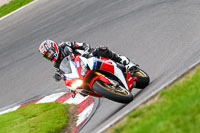 anglesey;brands-hatch;cadwell-park;croft;donington-park;enduro-digital-images;event-digital-images;eventdigitalimages;mallory;no-limits;oulton-park;peter-wileman-photography;racing-digital-images;silverstone;snetterton;trackday-digital-images;trackday-photos;vmcc-banbury-run;welsh-2-day-enduro