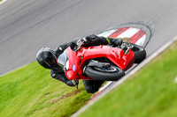 Lower Group Red Bikes