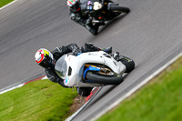 anglesey;brands-hatch;cadwell-park;croft;donington-park;enduro-digital-images;event-digital-images;eventdigitalimages;mallory;no-limits;oulton-park;peter-wileman-photography;racing-digital-images;silverstone;snetterton;trackday-digital-images;trackday-photos;vmcc-banbury-run;welsh-2-day-enduro