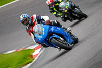 anglesey;brands-hatch;cadwell-park;croft;donington-park;enduro-digital-images;event-digital-images;eventdigitalimages;mallory;no-limits;oulton-park;peter-wileman-photography;racing-digital-images;silverstone;snetterton;trackday-digital-images;trackday-photos;vmcc-banbury-run;welsh-2-day-enduro