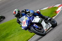 anglesey;brands-hatch;cadwell-park;croft;donington-park;enduro-digital-images;event-digital-images;eventdigitalimages;mallory;no-limits;oulton-park;peter-wileman-photography;racing-digital-images;silverstone;snetterton;trackday-digital-images;trackday-photos;vmcc-banbury-run;welsh-2-day-enduro