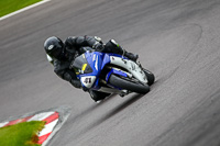 anglesey;brands-hatch;cadwell-park;croft;donington-park;enduro-digital-images;event-digital-images;eventdigitalimages;mallory;no-limits;oulton-park;peter-wileman-photography;racing-digital-images;silverstone;snetterton;trackday-digital-images;trackday-photos;vmcc-banbury-run;welsh-2-day-enduro