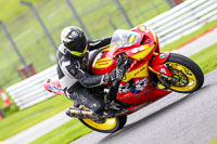anglesey;brands-hatch;cadwell-park;croft;donington-park;enduro-digital-images;event-digital-images;eventdigitalimages;mallory;no-limits;oulton-park;peter-wileman-photography;racing-digital-images;silverstone;snetterton;trackday-digital-images;trackday-photos;vmcc-banbury-run;welsh-2-day-enduro