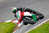 anglesey;brands-hatch;cadwell-park;croft;donington-park;enduro-digital-images;event-digital-images;eventdigitalimages;mallory;no-limits;oulton-park;peter-wileman-photography;racing-digital-images;silverstone;snetterton;trackday-digital-images;trackday-photos;vmcc-banbury-run;welsh-2-day-enduro