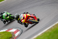 anglesey;brands-hatch;cadwell-park;croft;donington-park;enduro-digital-images;event-digital-images;eventdigitalimages;mallory;no-limits;oulton-park;peter-wileman-photography;racing-digital-images;silverstone;snetterton;trackday-digital-images;trackday-photos;vmcc-banbury-run;welsh-2-day-enduro