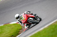 anglesey;brands-hatch;cadwell-park;croft;donington-park;enduro-digital-images;event-digital-images;eventdigitalimages;mallory;no-limits;oulton-park;peter-wileman-photography;racing-digital-images;silverstone;snetterton;trackday-digital-images;trackday-photos;vmcc-banbury-run;welsh-2-day-enduro