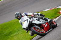 Middle Group Silver/Grey Bikes