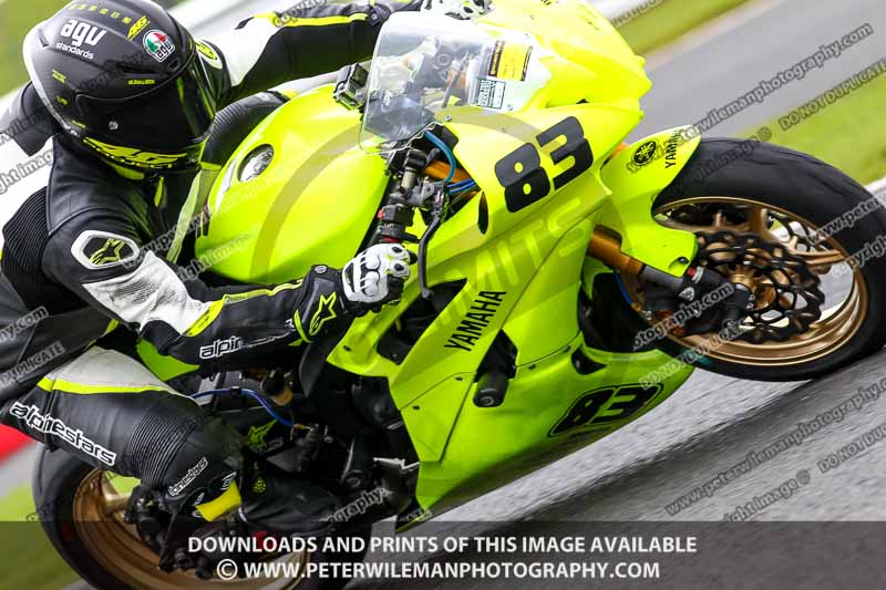 anglesey;brands hatch;cadwell park;croft;donington park;enduro digital images;event digital images;eventdigitalimages;mallory;no limits;oulton park;peter wileman photography;racing digital images;silverstone;snetterton;trackday digital images;trackday photos;vmcc banbury run;welsh 2 day enduro