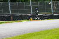 Lower Group Silver/Grey Bikes