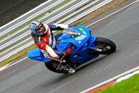 Low_Mid Group Blue Bikes