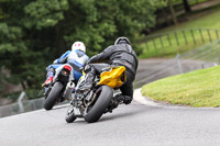 anglesey;brands-hatch;cadwell-park;croft;donington-park;enduro-digital-images;event-digital-images;eventdigitalimages;mallory;no-limits;oulton-park;peter-wileman-photography;racing-digital-images;silverstone;snetterton;trackday-digital-images;trackday-photos;vmcc-banbury-run;welsh-2-day-enduro