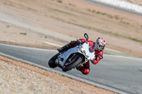 Inter Group White Bikes