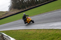 Low/Mid Group Yellow Bikes