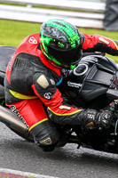 Advanced Group Black Bikes
