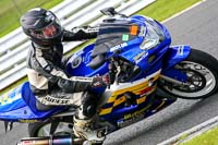 anglesey;brands-hatch;cadwell-park;croft;donington-park;enduro-digital-images;event-digital-images;eventdigitalimages;mallory;no-limits;oulton-park;peter-wileman-photography;racing-digital-images;silverstone;snetterton;trackday-digital-images;trackday-photos;vmcc-banbury-run;welsh-2-day-enduro