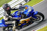 anglesey;brands-hatch;cadwell-park;croft;donington-park;enduro-digital-images;event-digital-images;eventdigitalimages;mallory;no-limits;oulton-park;peter-wileman-photography;racing-digital-images;silverstone;snetterton;trackday-digital-images;trackday-photos;vmcc-banbury-run;welsh-2-day-enduro
