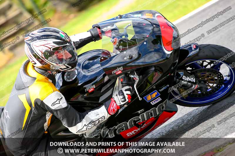 anglesey;brands hatch;cadwell park;croft;donington park;enduro digital images;event digital images;eventdigitalimages;mallory;no limits;oulton park;peter wileman photography;racing digital images;silverstone;snetterton;trackday digital images;trackday photos;vmcc banbury run;welsh 2 day enduro