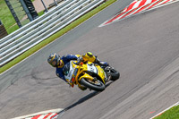 Lower Group Yellow Bikes