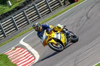 anglesey;brands-hatch;cadwell-park;croft;donington-park;enduro-digital-images;event-digital-images;eventdigitalimages;mallory;no-limits;oulton-park;peter-wileman-photography;racing-digital-images;silverstone;snetterton;trackday-digital-images;trackday-photos;vmcc-banbury-run;welsh-2-day-enduro