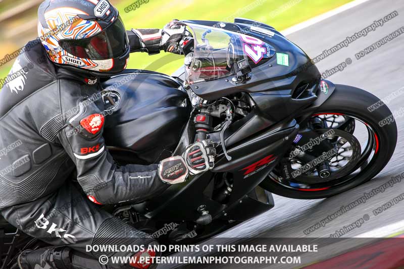 anglesey;brands hatch;cadwell park;croft;donington park;enduro digital images;event digital images;eventdigitalimages;mallory;no limits;oulton park;peter wileman photography;racing digital images;silverstone;snetterton;trackday digital images;trackday photos;vmcc banbury run;welsh 2 day enduro
