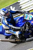anglesey;brands-hatch;cadwell-park;croft;donington-park;enduro-digital-images;event-digital-images;eventdigitalimages;mallory;no-limits;oulton-park;peter-wileman-photography;racing-digital-images;silverstone;snetterton;trackday-digital-images;trackday-photos;vmcc-banbury-run;welsh-2-day-enduro