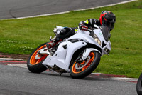 Advanced Group White Bikes